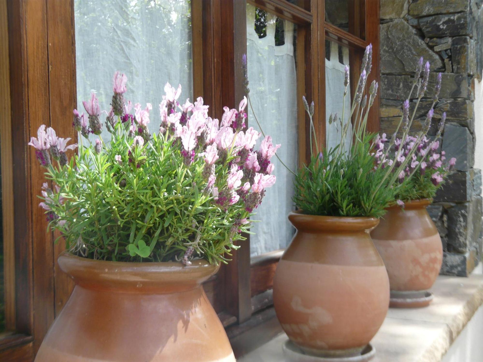 Can Barrina Montseny Buitenkant foto