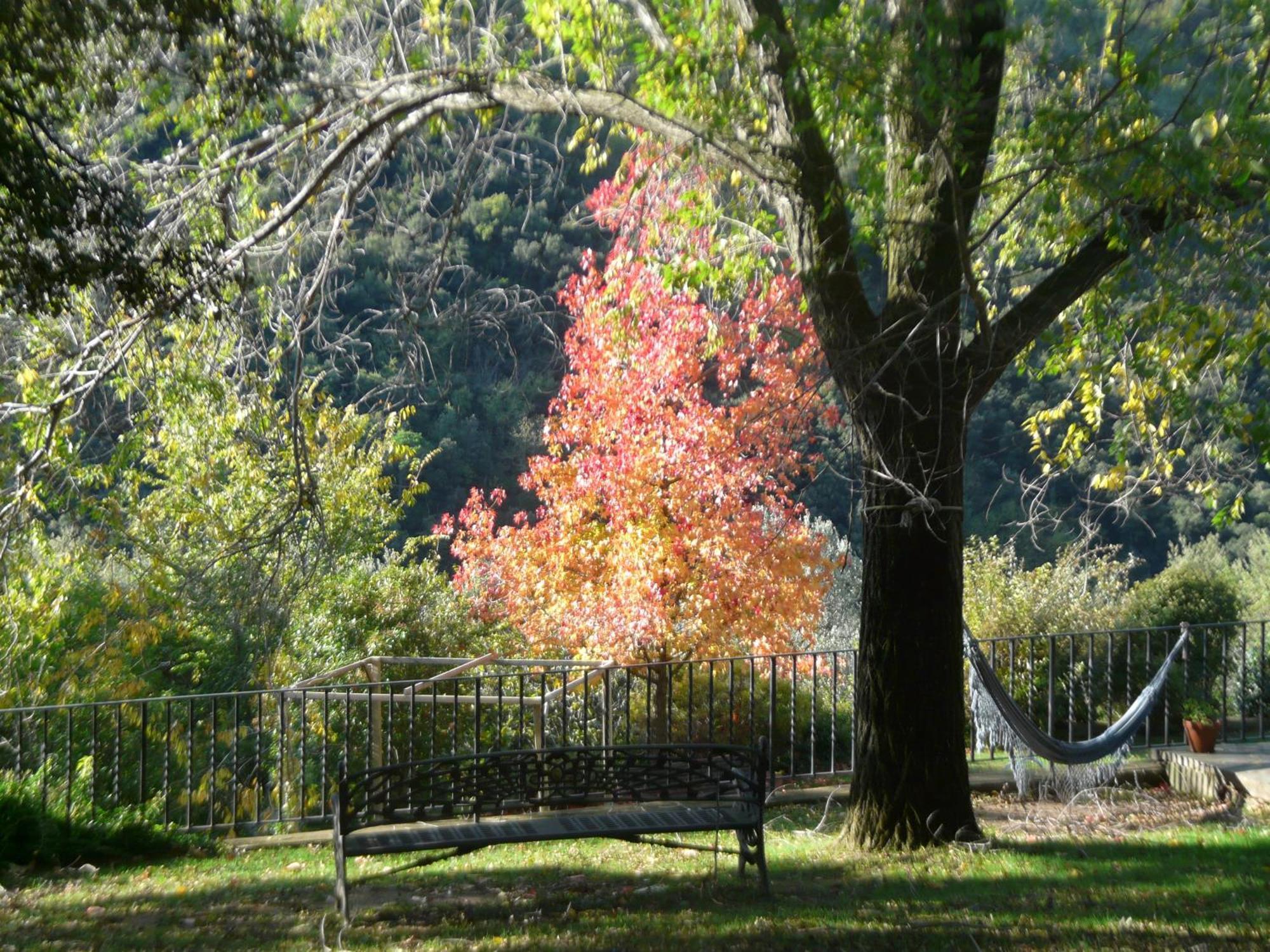 Can Barrina Montseny Buitenkant foto
